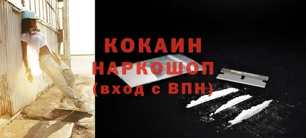 дурь Магас