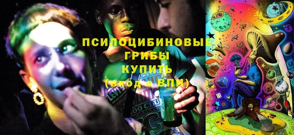 дурь Магас
