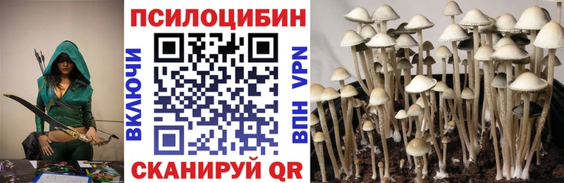 Купить  Армянск  Галлюциногенные грибы ЛСД 